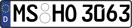 MS-HO3063