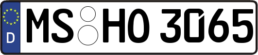 MS-HO3065
