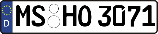 MS-HO3071