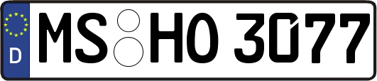 MS-HO3077