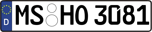 MS-HO3081