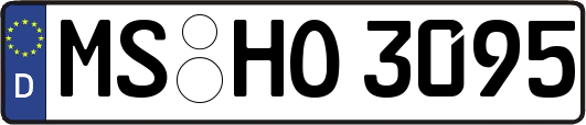 MS-HO3095