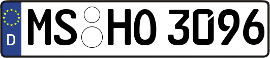 MS-HO3096