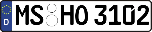 MS-HO3102