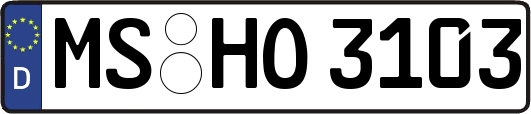 MS-HO3103