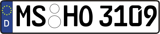 MS-HO3109