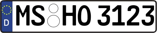 MS-HO3123