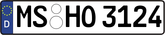 MS-HO3124