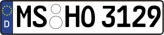 MS-HO3129