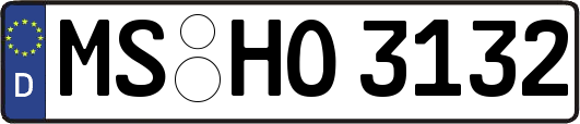 MS-HO3132