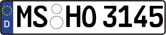 MS-HO3145