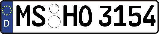 MS-HO3154