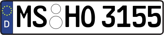 MS-HO3155