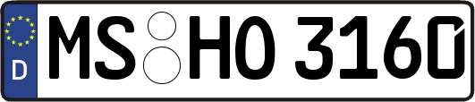 MS-HO3160