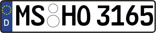 MS-HO3165