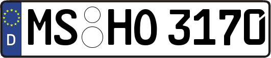 MS-HO3170