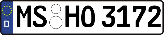 MS-HO3172