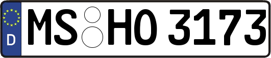 MS-HO3173