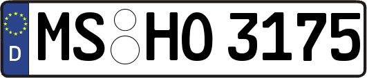 MS-HO3175