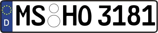 MS-HO3181