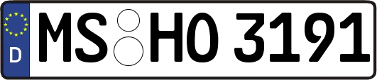 MS-HO3191