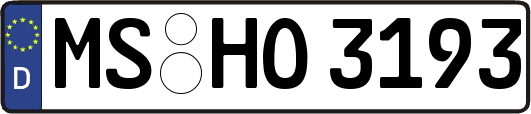 MS-HO3193