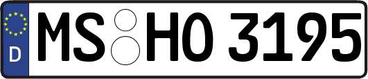 MS-HO3195