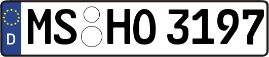 MS-HO3197