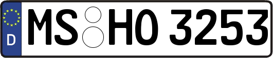 MS-HO3253