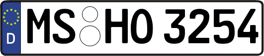 MS-HO3254