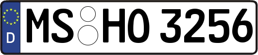 MS-HO3256