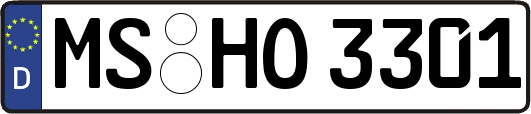MS-HO3301