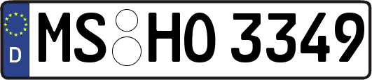 MS-HO3349