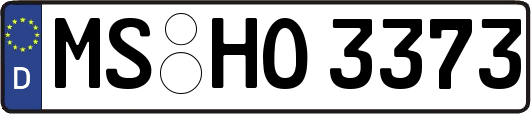 MS-HO3373