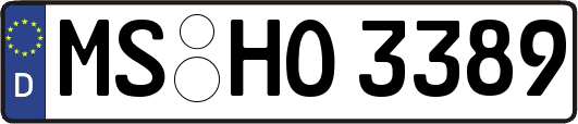MS-HO3389