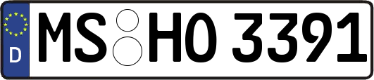 MS-HO3391