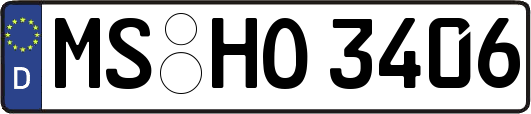 MS-HO3406
