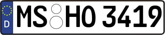 MS-HO3419