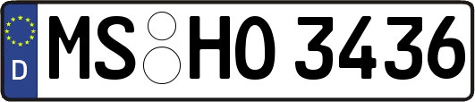 MS-HO3436