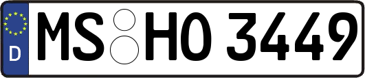 MS-HO3449