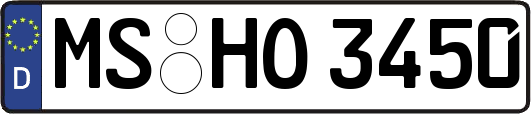 MS-HO3450