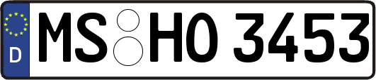 MS-HO3453