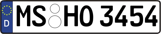 MS-HO3454