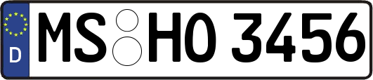 MS-HO3456