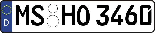 MS-HO3460