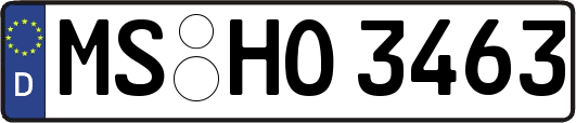 MS-HO3463