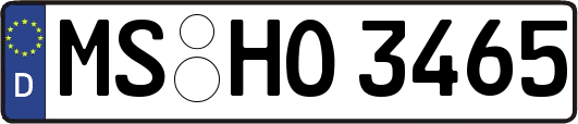 MS-HO3465