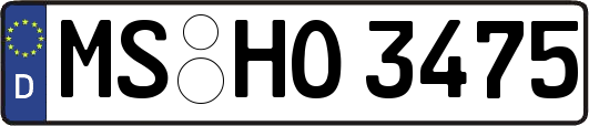 MS-HO3475