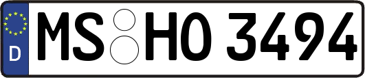 MS-HO3494