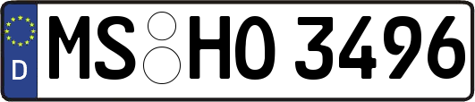 MS-HO3496